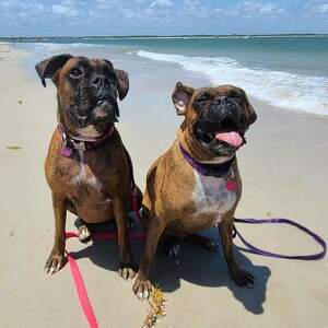 Fundraising Page: Kendra Williams-Packard